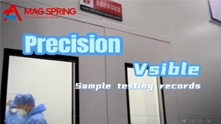 Pilot-Scale-Tests & Leistungs überprüfung für kunden spezifische magnetische Lösungen | MAG SPRING®